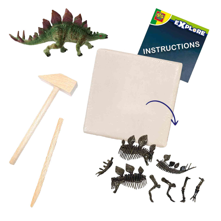 SES esplora e scheletro scavato 2in1stegosaurus