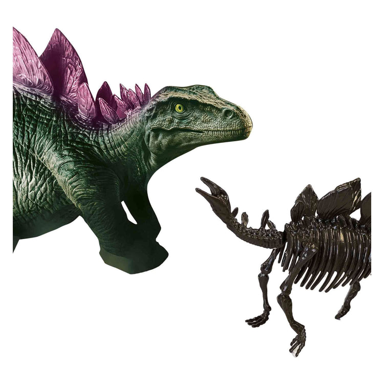 SES esplora e scheletro scavato 2in1stegosaurus
