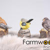 Farmwood animals tuinbeeld vogel met geluid 9x6x10 cm
