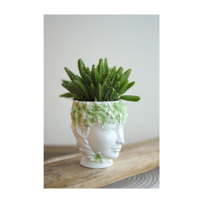 Vaso da fiori Ideas 4 stagioni lady natura 14x12xh14,5 cm verde