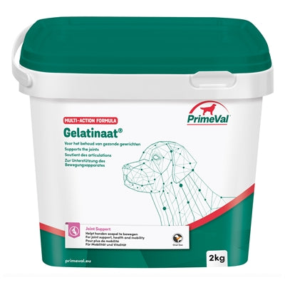 Perro gelatinado primitivo