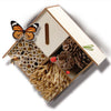Insetti SES Craft da hotel