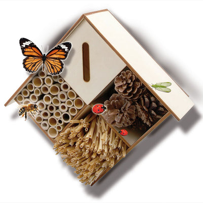 Insetti SES Craft da hotel