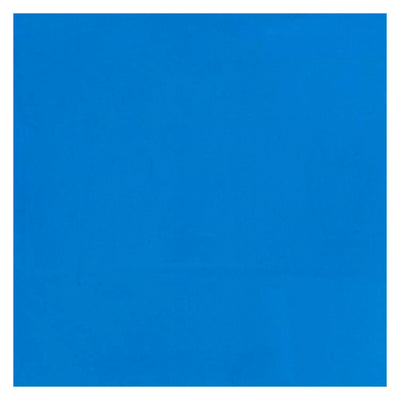 Bruynzeel ecola plakkaatverf fles 16ml lichtblauw 501