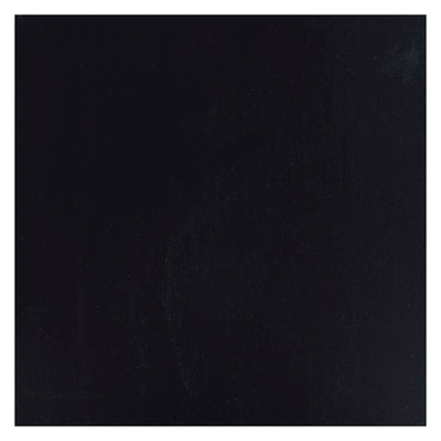 Bottiglia di vernice semplice ecola di Bruynzeel 16 ml nero 700