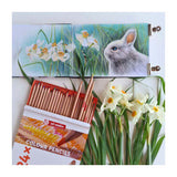 Talens Art Creation Colored Pencils Set 24 - afbeelding 5