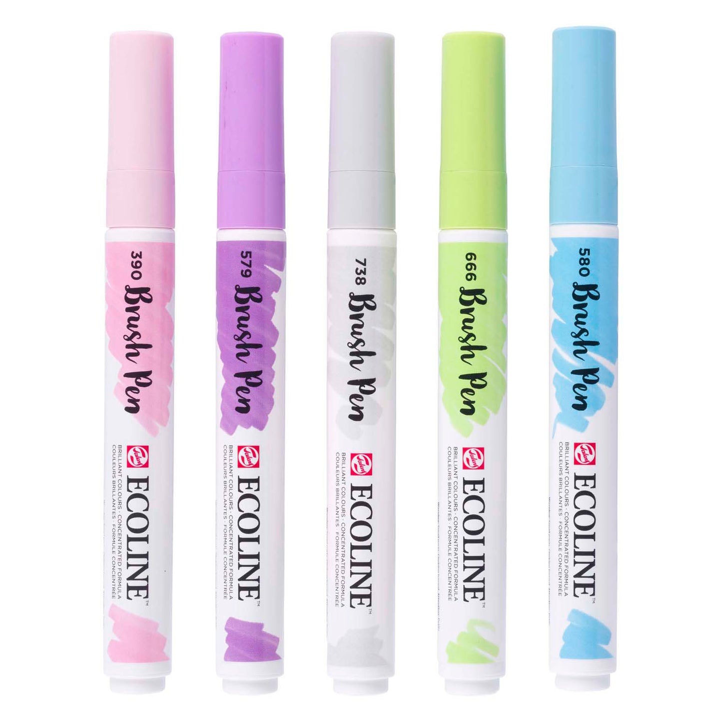Pennello a pennello Bruynzeel Set di Pastello per ecoline 5 pezzi