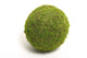 Hbx natural living bal mos asia ã˜20cm