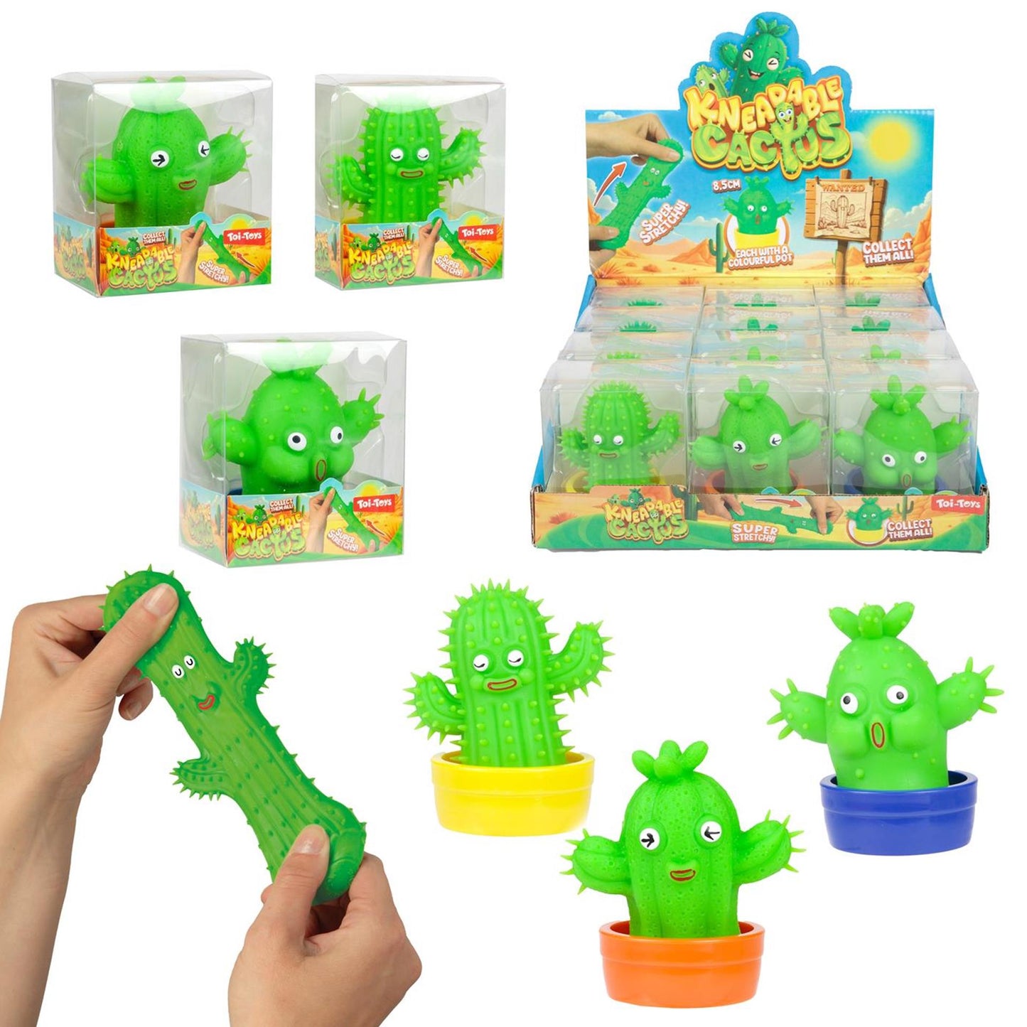 Toi-toys cactus moldeado elástico con maceta