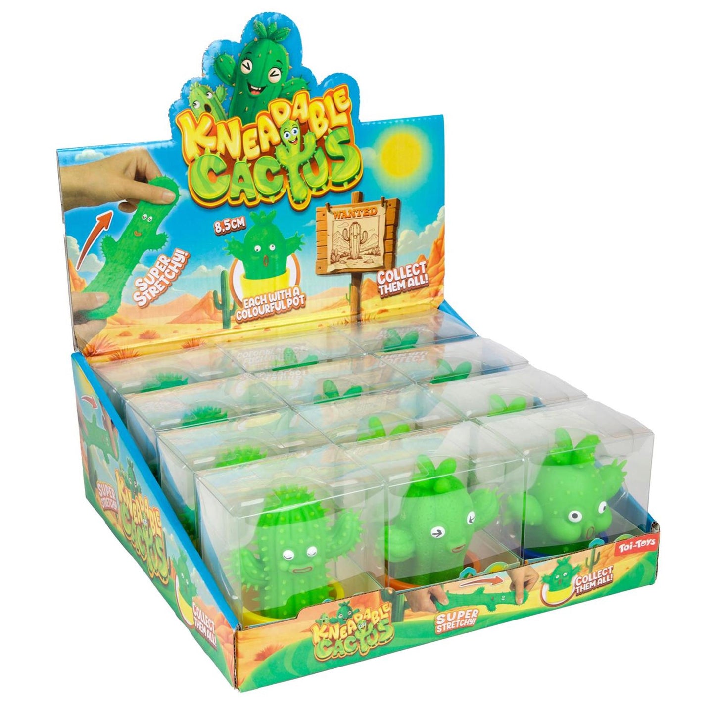 Toi-toys cactus moldeado elástico con maceta