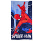 Telo mare Spiderman, 140x70 cm