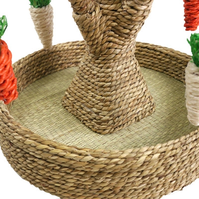 Rosewood Speelboom per roditori