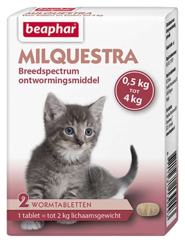 Kitten per gatti di Beaphar Milquestra