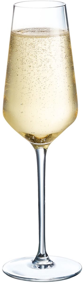 Copas de champán chef sommelier distinción - 230ml - 6 piezas -