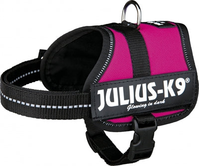 Julius K9 Power-Harnas Tuig para etiquetas Fuchsia