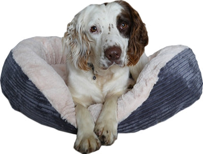 Canasta de perros de palisandro oval jumbo cordón de peluche gris crema gris