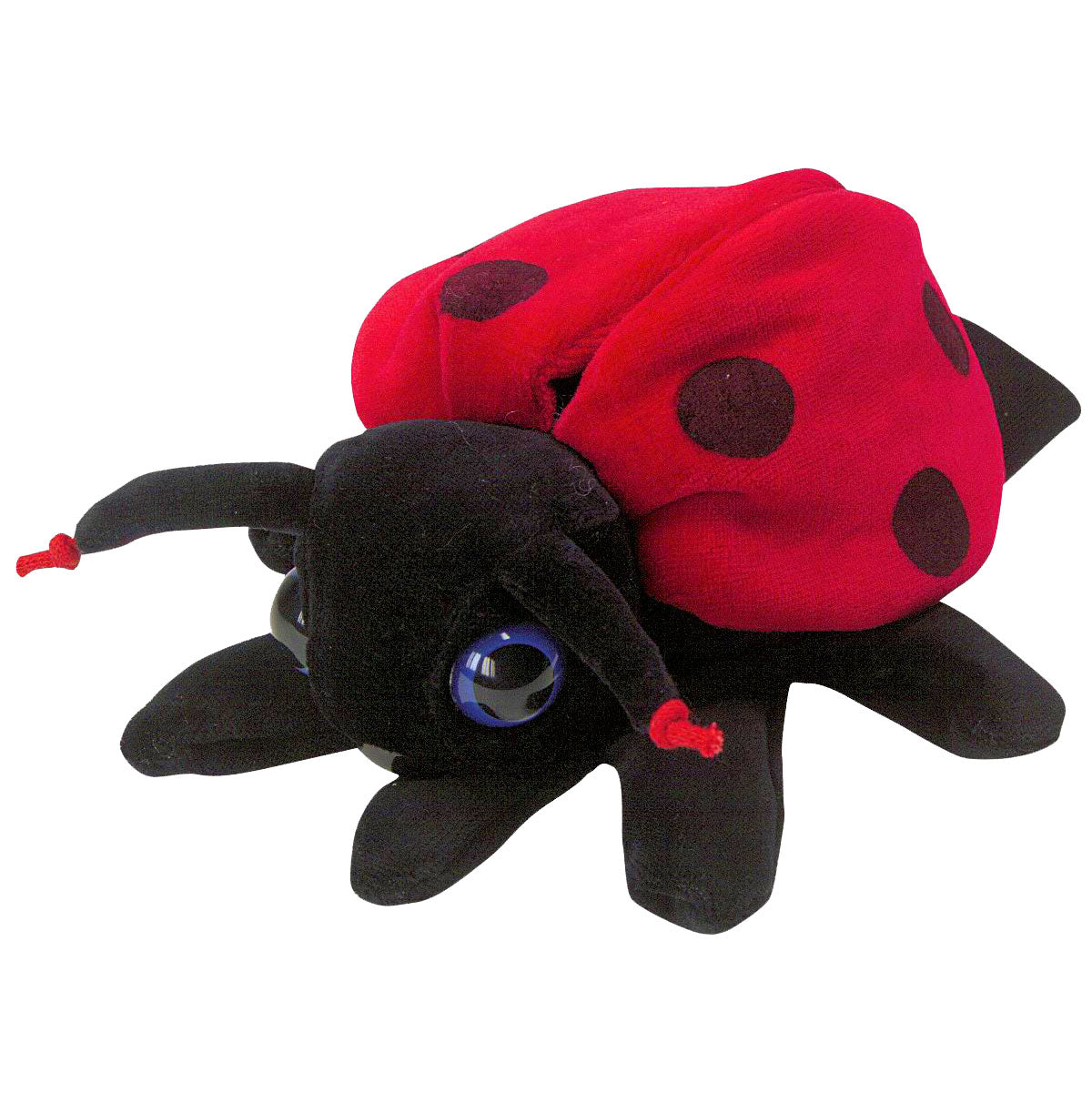 Beleduc Hand Pop Ladybug