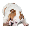 Petstages Dogwood durable stick