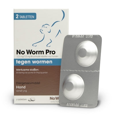 Exil no worm pro perro