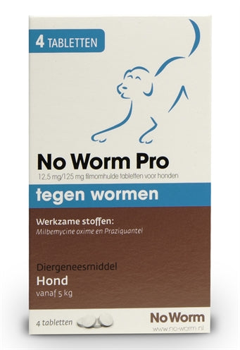 Exil no worm pro perro