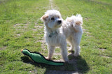 Happy Pet Gaudy Game Game Pheasant - afbeelding 3