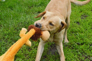 Happy pet wild crinkler leeuw - afbeelding 2