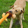 Happy pet wild crinkler leeuw