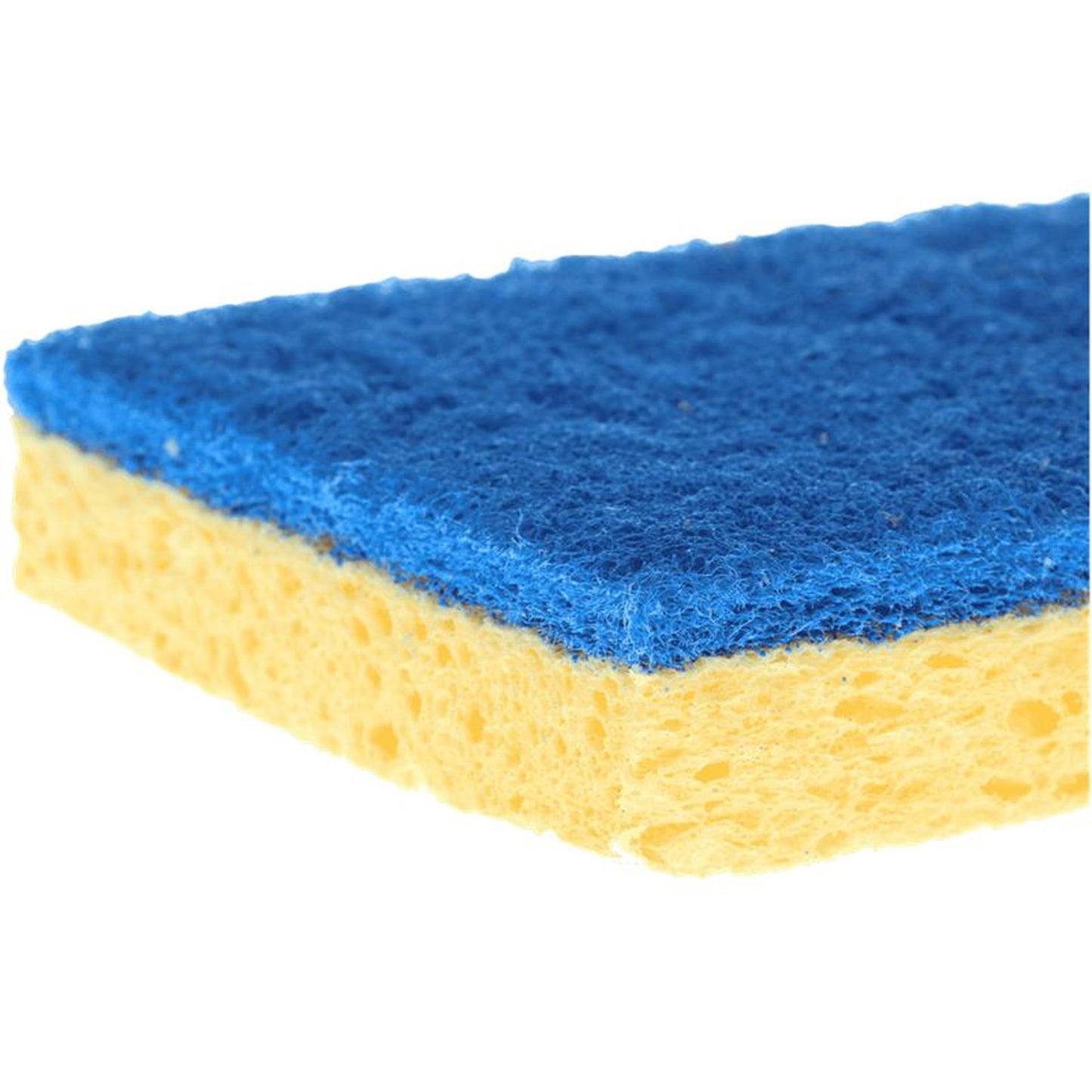 Sorbo sanitairspons viscose