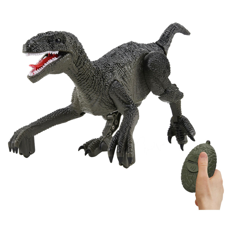 Robot dinosaurio rapaz controlable Gear2play RC de 2,4 GHz