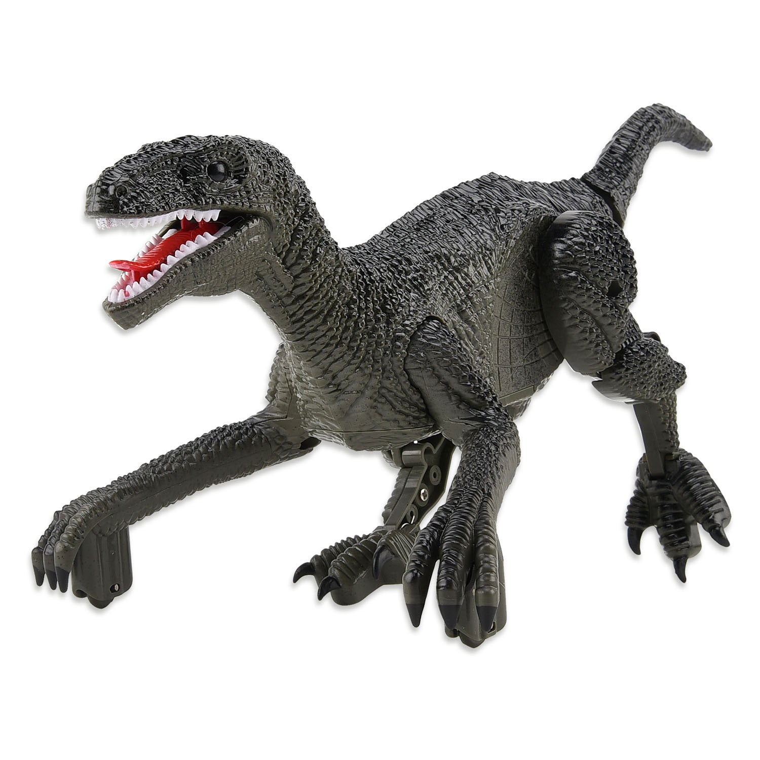 Robot dinosaurio rapaz controlable Gear2play RC de 2,4 GHz