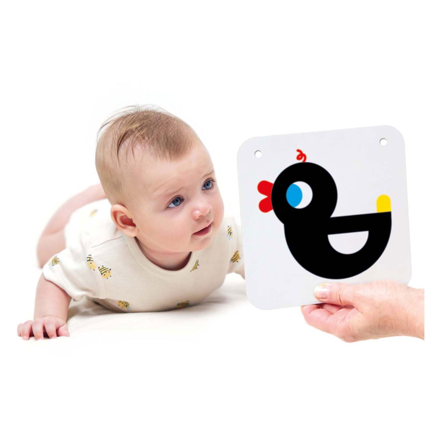 Banana panda - hoog contrast babykaarten 0m+ 3m+ - 24st.