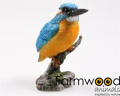 Estatua de jardín animales Farmwood martín pescador en baúl 9x9x15cm