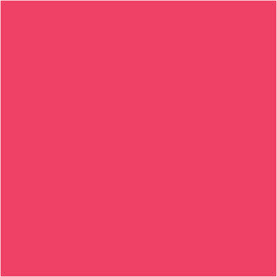Bic Kids Visacolor XL Pink