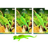 TOI-TOYS REPTILE VIVO SUPER STRACKABLE