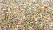 De vries grande parrocchetto alimentare - afbeelding 3