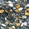 De vries cibo per pappagalli