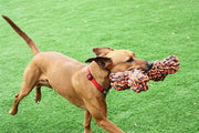 Happy pet nuts for knots extreme bot grijs oranje - afbeelding 3