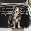 Trixie Dog Rack Car Silver Negro