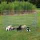 Trixie Natura Puppyren Galvanized Metal 8 paneles