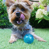 BIOSAFE CUPPY SNACK BALL BLU - afbeelding 4