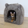 40 strizzanti il ​​cesto gatto iglo teddy bruin