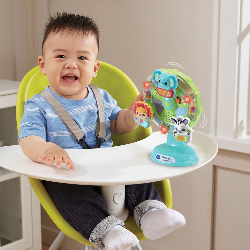 Vtech animal pretish Ferris wheel