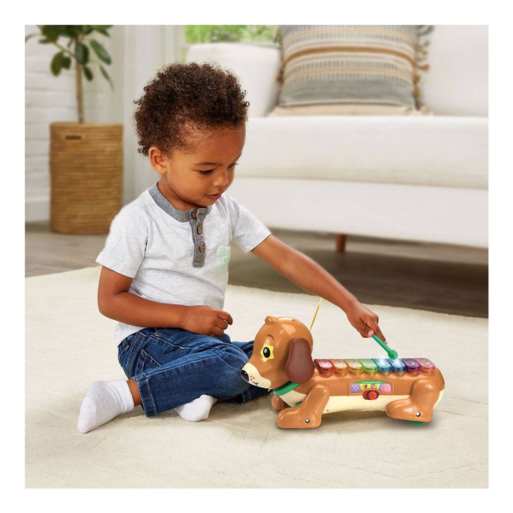 Vtech Timmie Deckel xylofono con luce e suono