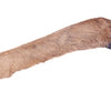 Petsnack Reeen Poot con lei