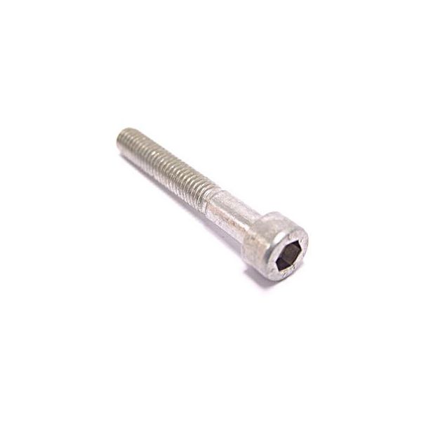 Bofix Inbusbout M6 x 40 RVS (12 stuks)