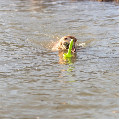 Trixie Dog Activity Mot-Aqua Forteer Dobber Limegroen