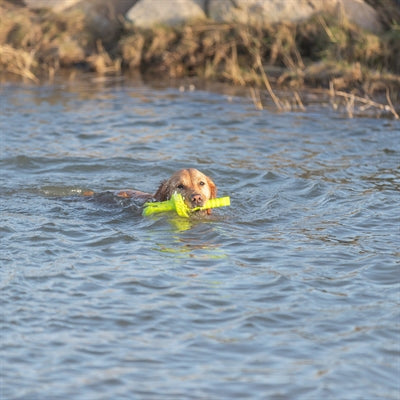 Trixie Dog Activity Mot-Aqua Forteer Dobber Limegroen