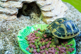 Feliz plato de comida para mascotas hoja verde verde - afbeelding 3
