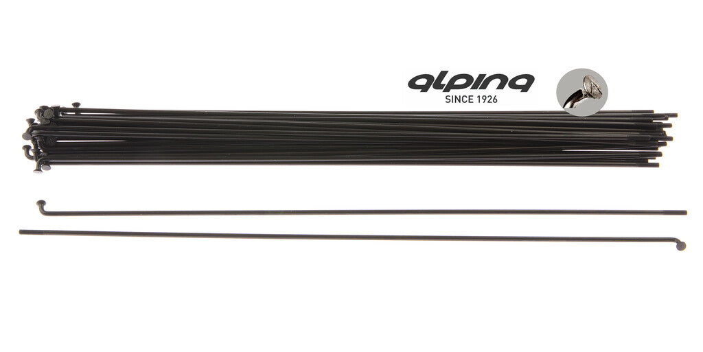 Buzaglo alpina spaak 13x292 zwart rvs