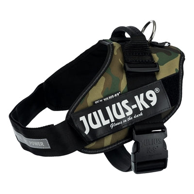 JULIUS K9 IDC IMBARME CHARMAGGIO